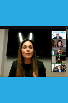 Seminario Virtual denominado “Ley modelo de acceso a la información 2.0 de la OEA - Impacto y tareas pendientes”.