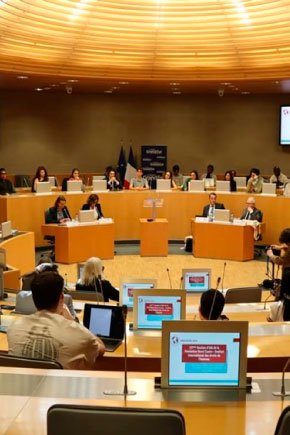 IIDH presente en la Sesión de Verano de la Fundación René Cassin