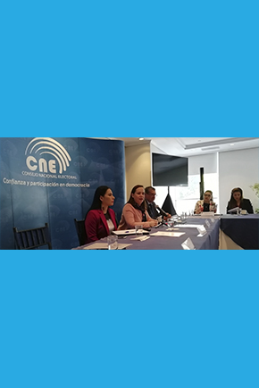 Coordinadora del IIDH/CAPEL en taller de intercambio experiencias sobre asuntos electorales