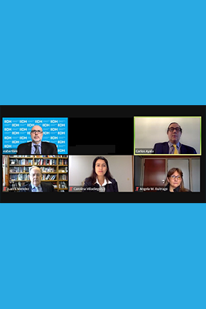 Encuentro virtual “Principios Méndez”