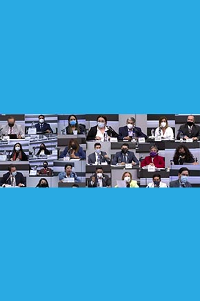 Fondo Apoyo a la Observación Electoral: organizaciones de la sociedad civil mexicana