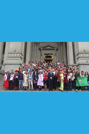 I Curso Internacional de “Protección Internacional de los Derechos Humanos de Pueblos Indígenas”