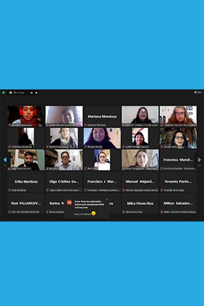 IV Diplomado Virtual en Litigio Estratégico Para la Defensa y Protección del Derecho a un Medio Ambiente Sano