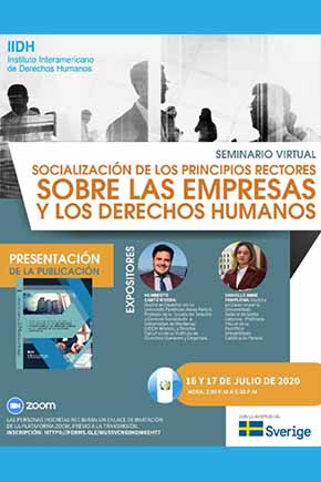 Seminario virtual sobre los Principios Rectores sobre las Empresas y los Derechos Humanos
