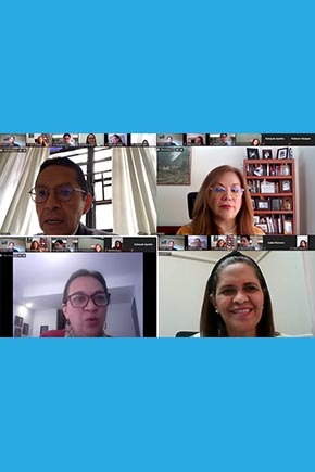 Seminario virtual “Observación Electoral en Tiempos de Pandemia”