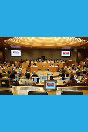 IIDH presente en la Sesión de Verano de la Fundación René Cassin
