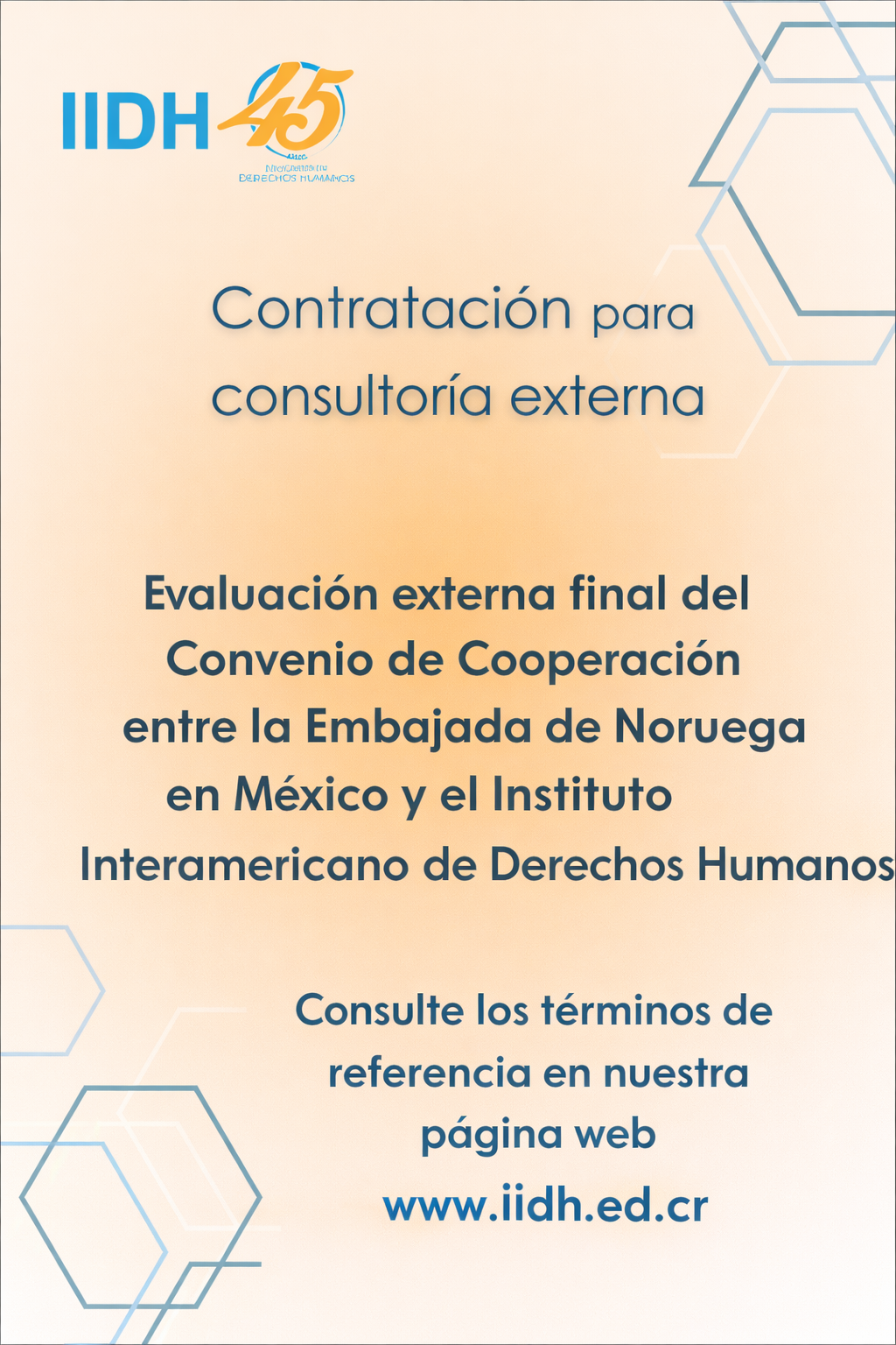Contratación para consultoría externa