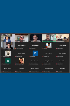 El Centro de Asesoría y Promoción Electoral (CAPEL) del IIDH impartió curso virtual